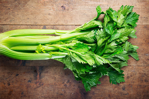 What is the usefulness of celery