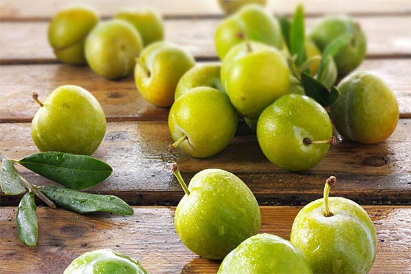 What is the usefulness of green cherry plums
