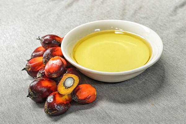 Výhody palmového oleje