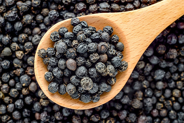 Interesting facts about black pepper
