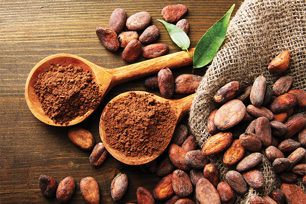 Interesting facts about cocoa