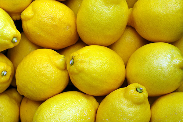 Fakten über Zitronen