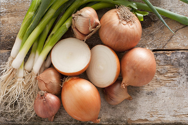 Fun facts about onions