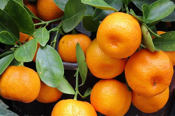 Interessante fakta om mandariner