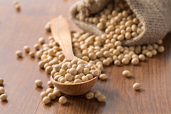 Interesting facts about soy