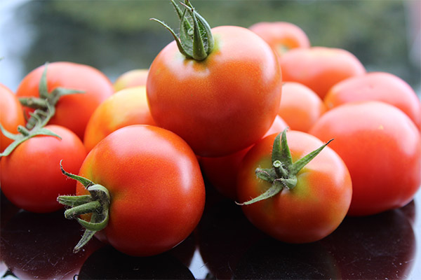 Interessante Fakten über Tomaten