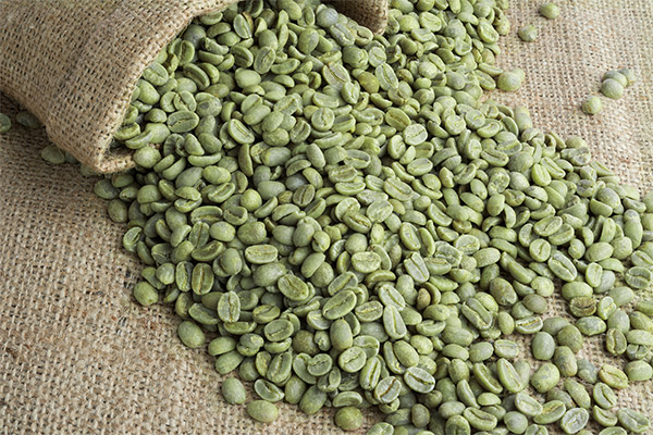 Interesting facts about green coffee