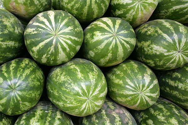 Interessante fakta om vandmelon