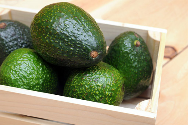 Sådan opbevarer du avocadoer