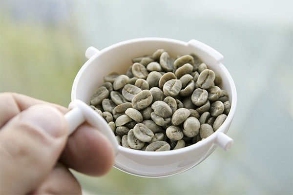 How to brew green coffee correctly