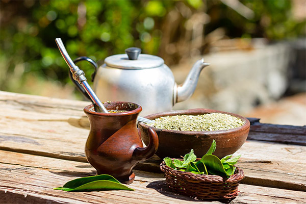 Cum să preparați și să beți ceaiul Yerba Mate Tea