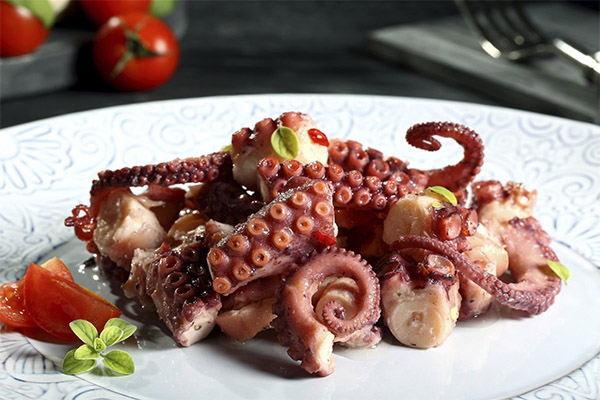 How to cook octopus