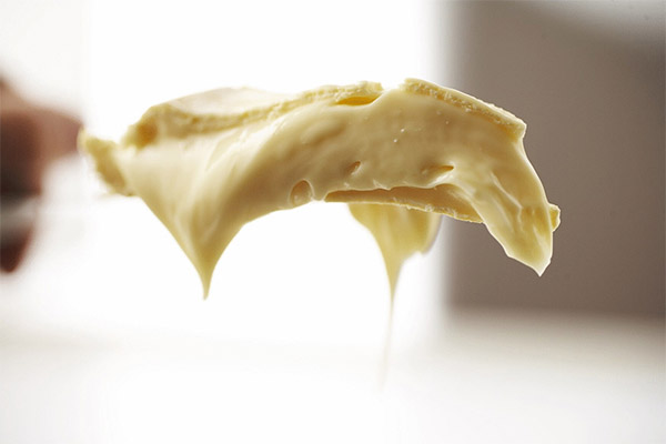 Comment faire fondre du fromage fondu