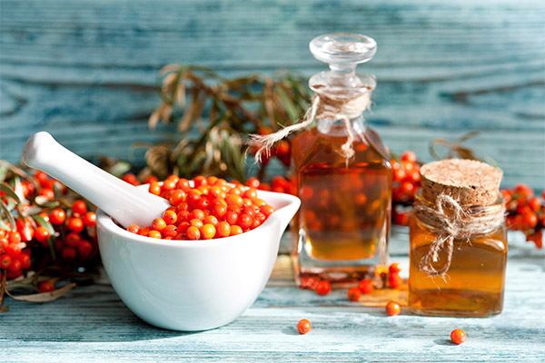 How to make sea buckthorn oil