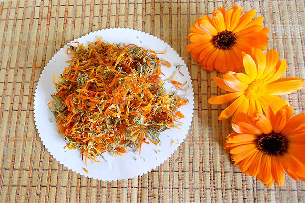 How to collect and how to store marigold