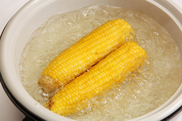 Comment faire bouillir le maïs