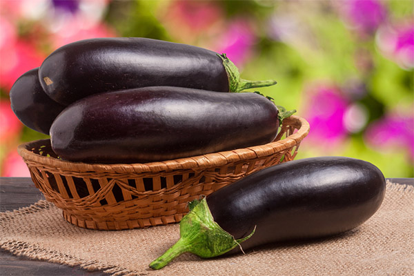 How to Choose and Store Eggplants