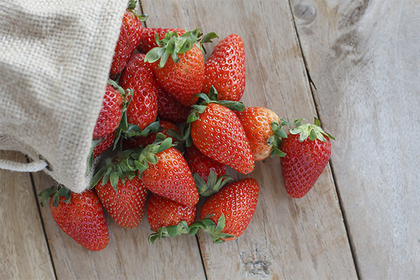 Comment choisir et conserver les fraises