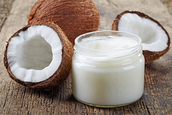 Jak vybrat a skladovat kokosový olej
