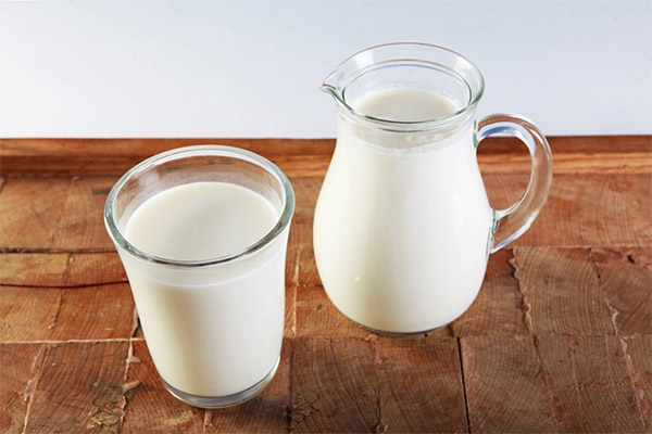 Jak vybrat a skladovat kozí mléko