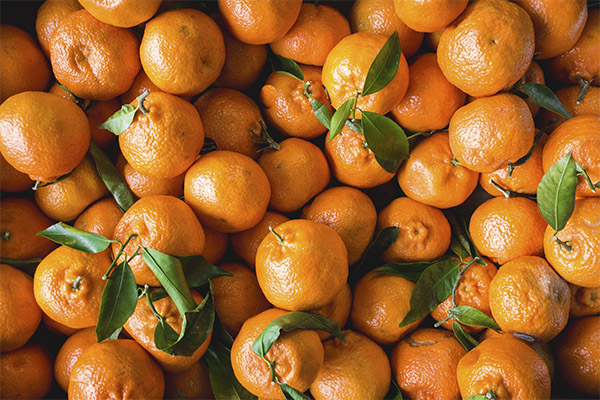 Auswahl und Lagerung von Mandarinen