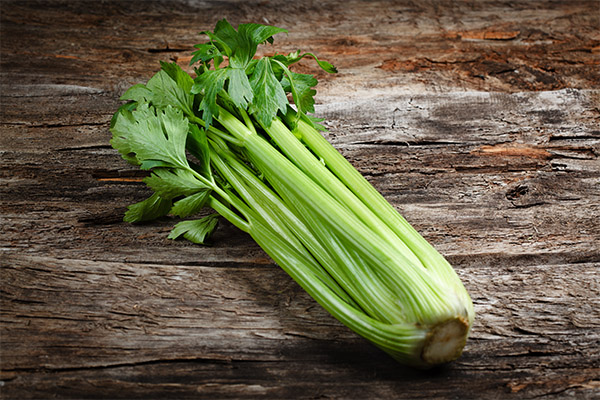 How to choose and store celery