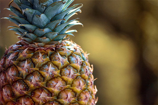 How to choose a ripe pineapple in a store