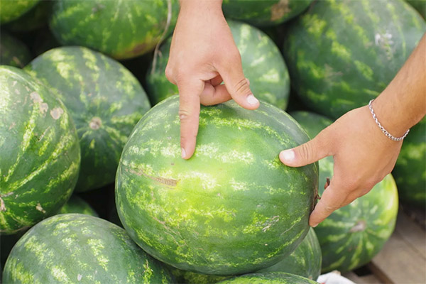 Wie man eine reife und süße Wassermelone auswählt