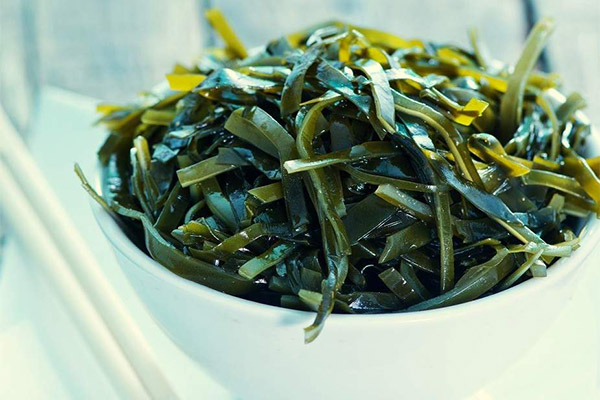 Seaweed in medicine