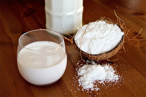 Ist getrocknete Kokosnussmilch nützlich?