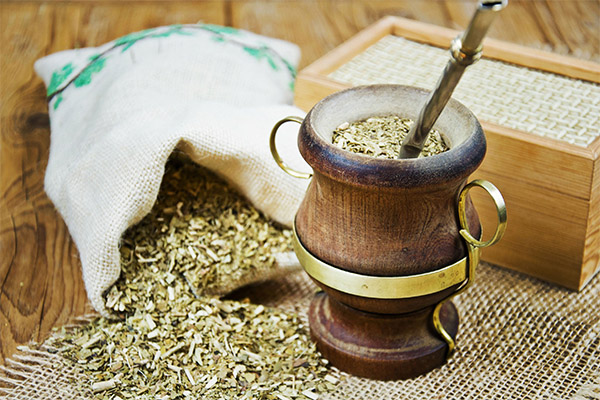 Nutritional Benefits of Yerba Mate Tea