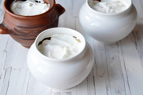 Nützliche Eigenschaften des Joghurts
