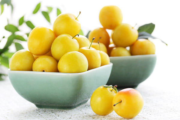 Les bienfaits et les méfaits des prunes de cerise