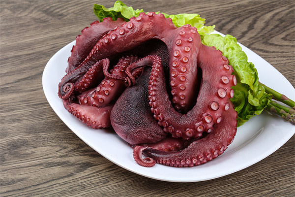 Fordele og ulemper ved blæksprutte