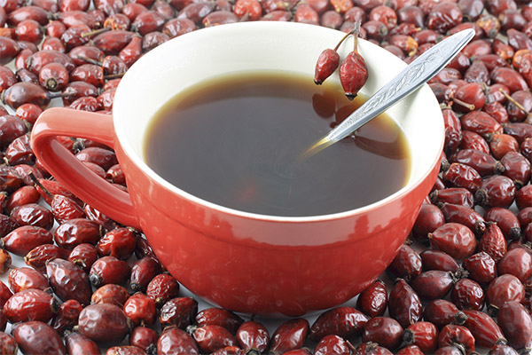 The benefits and harms of rosehip broth