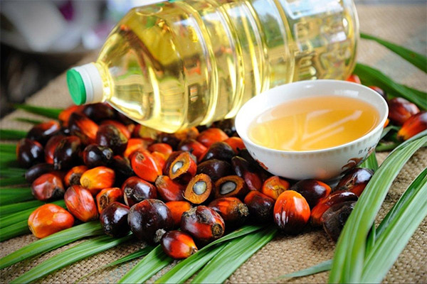 Přínosy a škody palmového oleje