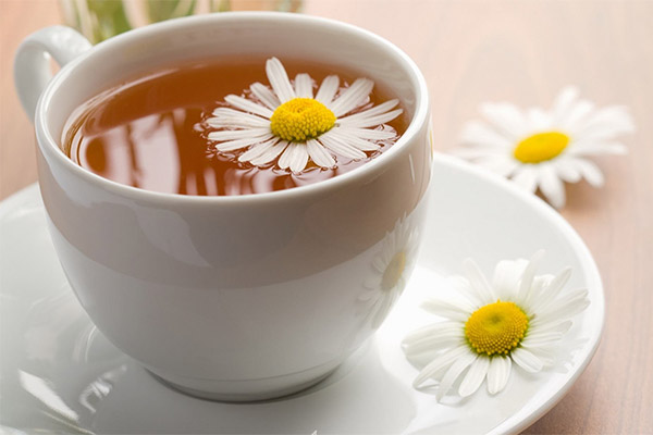 Les avantages et les inconvénients du thé à la camomille