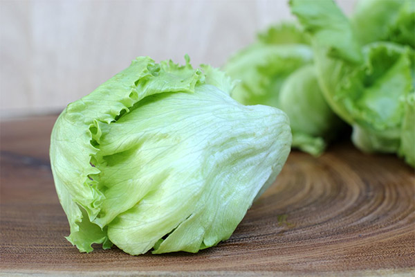 The benefits and harms of iceberg lettuce