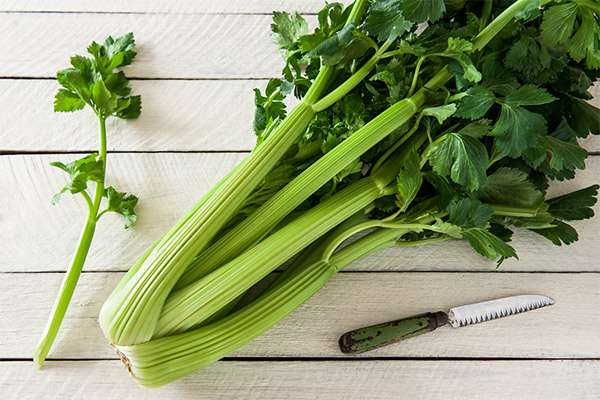 The benefits and harms of celery