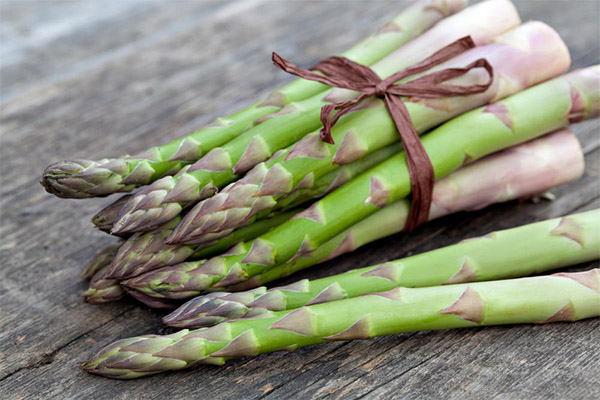 Fordele og ulemper ved asparges