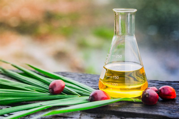 Application de l'huile de palme dans la médecine traditionnelle