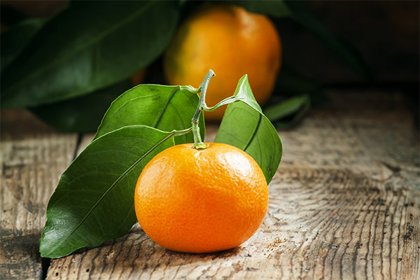 Traditionelle Medizin Rezepte für Mandarinen