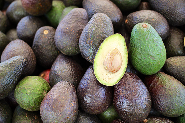 Rådgivning om valg af avocado