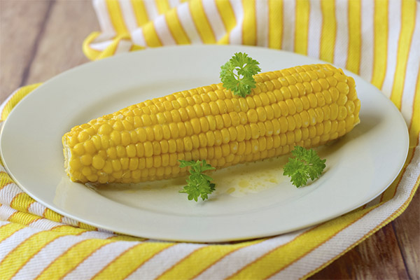 How much boiled corn can be eaten per day