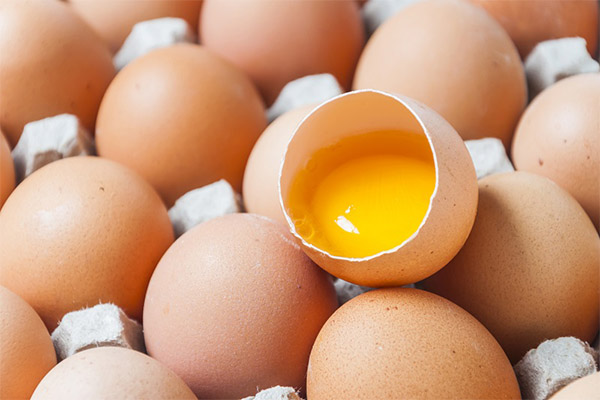 Holdbarhed af rå æg