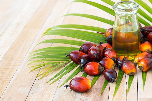 Quels aliments contiennent de l'huile de palme ?