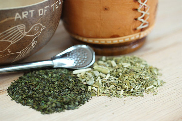 Contraindications and Harms of Yerba Mate Tea