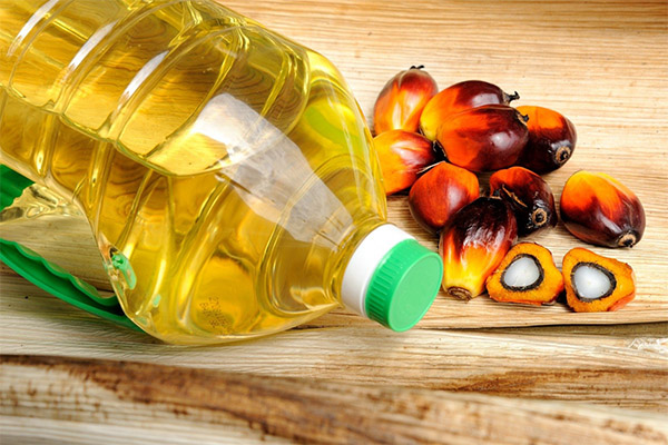 Škodlivost a kontraindikace palmového oleje