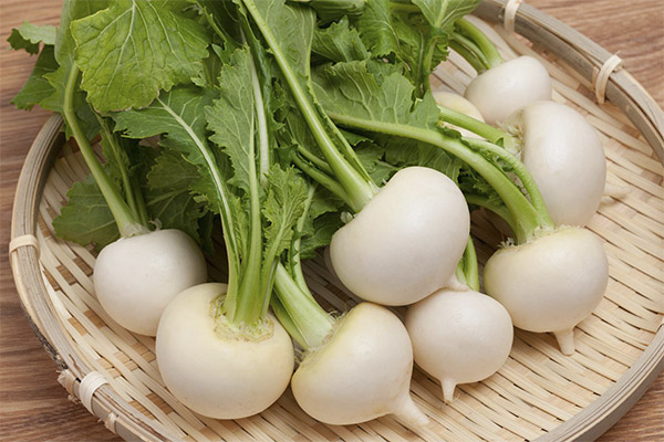 White radish in traditional medicine