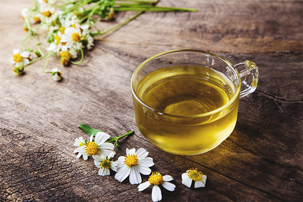 What is the usefulness of chamomile infusion
